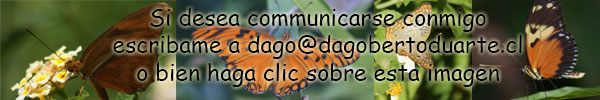 prueba-banner2